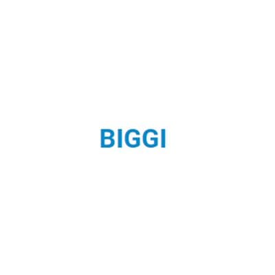 Biggi - Immagine 2
