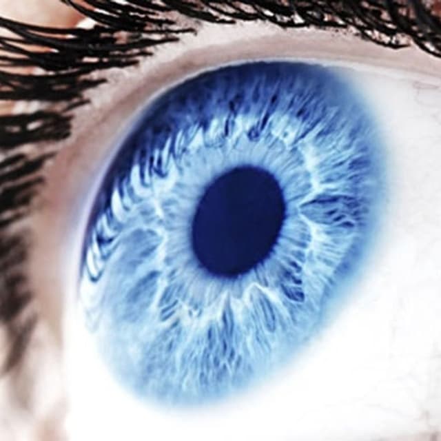 Bignamini Dott.ssa Vannia Psicologa - Immagine 2