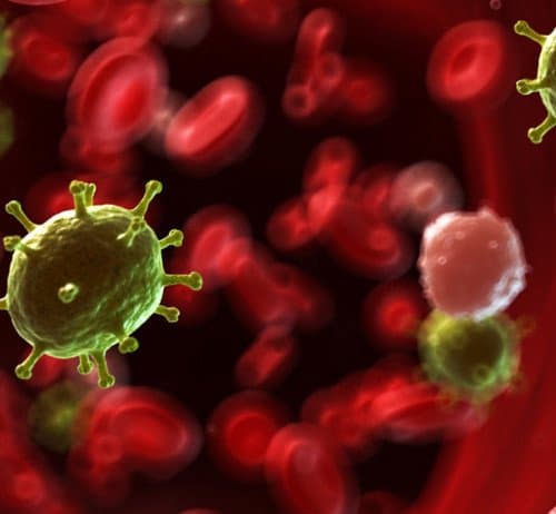 Bio-Data - Immagine 1