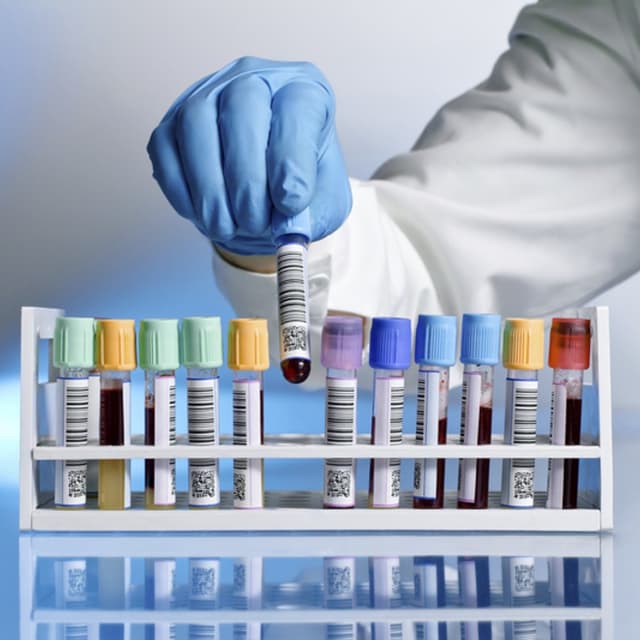 Biocentro Analisi Cliniche Srl - Immagine 1