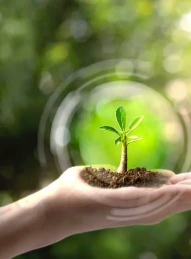 Biomatrix - Immagine 1