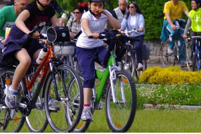 Bioverde Servizi - Immagine 1