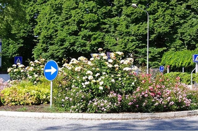 Bioverde Servizi - Immagine 2