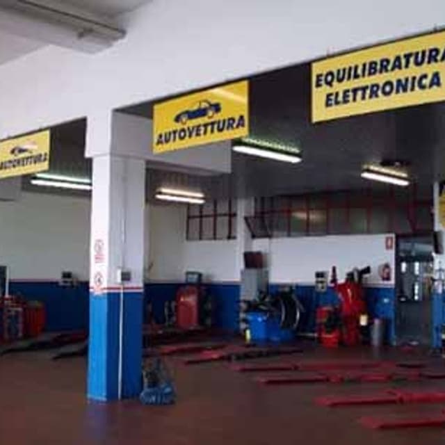 Birolini Gomme - Immagine 2