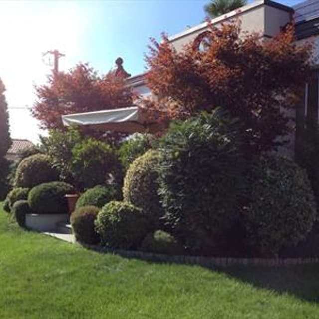 Bonaita Robi & Figli - Immagine 1