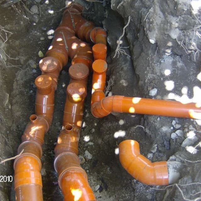 Bonotto Mario Spurghi - Immagine 2