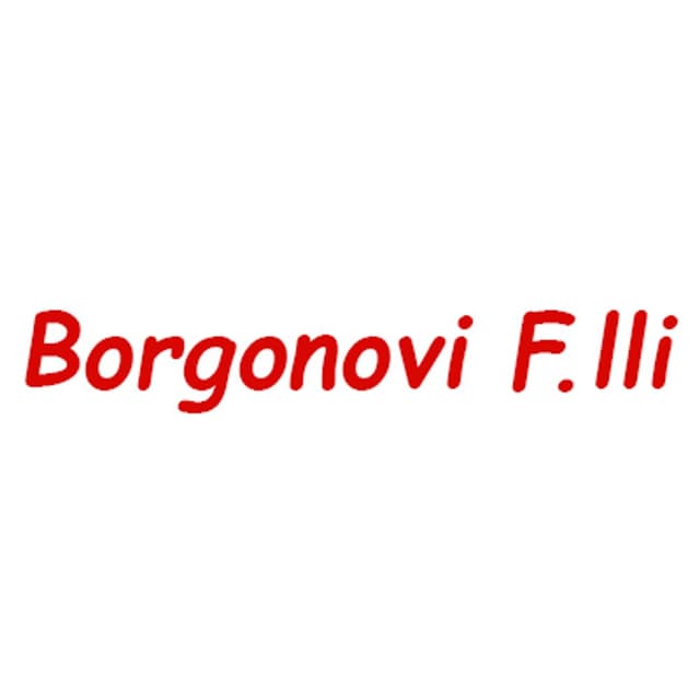 Borgonovi F.lli - Immagine 1