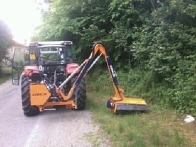 Bounous Luca - Lavori di Giardinaggio - Immagine 2