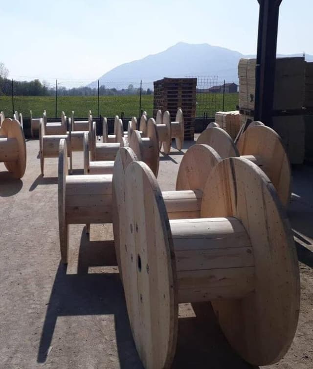 Bracco Fiorenzo - Immagine 2