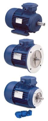 Braga & Di Leo - Immagine 1