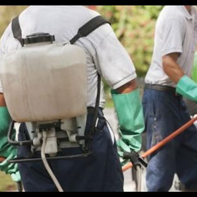 Brendolan - Immagine 1