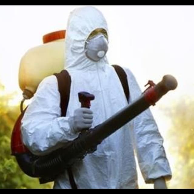 Brendolan - Immagine 2