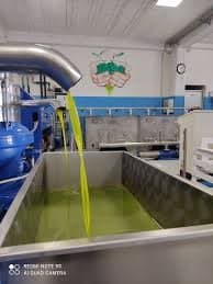 Buggea Group - Immagine 1