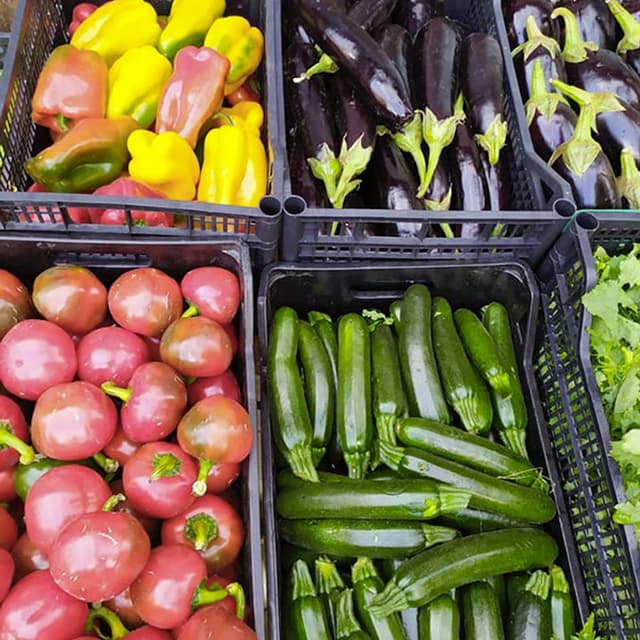 Buono alimentari ed elettrodomestici - Immagine 1