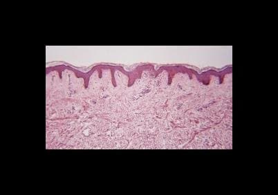 Burroni Dott.ssa Anna Graziella - Immagine 1