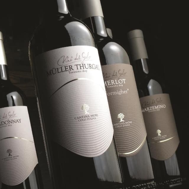 Cantina Mori Colli Zugna - Immagine 2