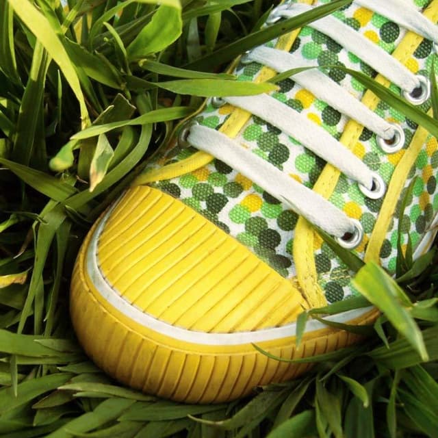 Cappelletti di Falziroli Monica - Immagine 1