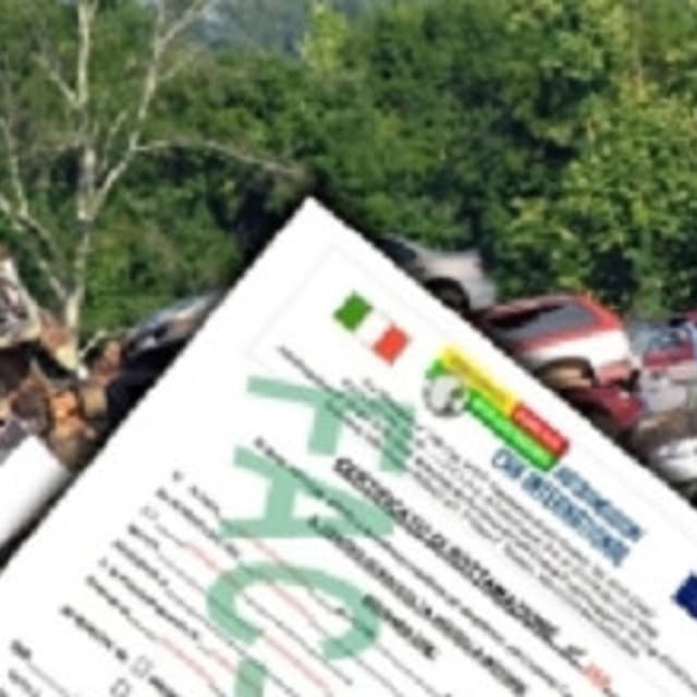 Car International - Immagine 2