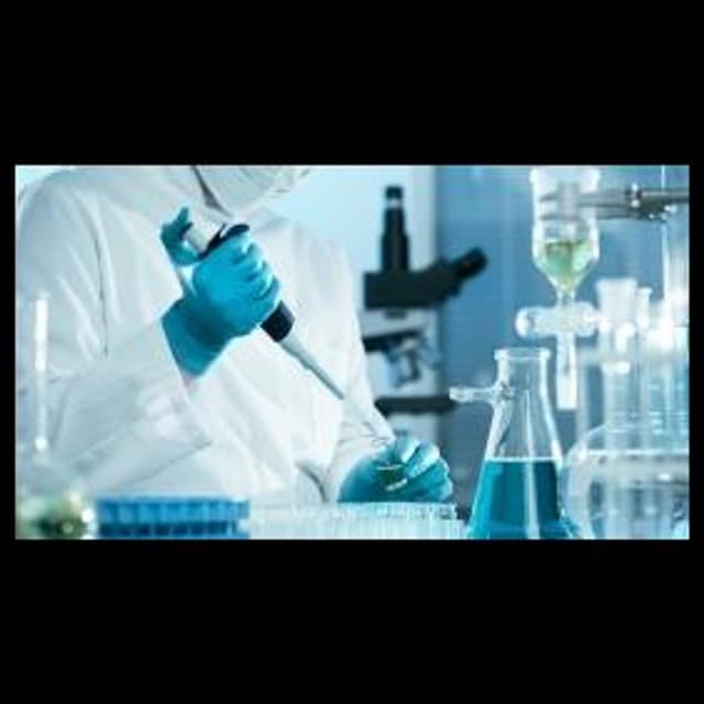 Carl Spaeter - Immagine 2