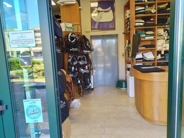 Carminati Equitazione Selleria - Immagine 2