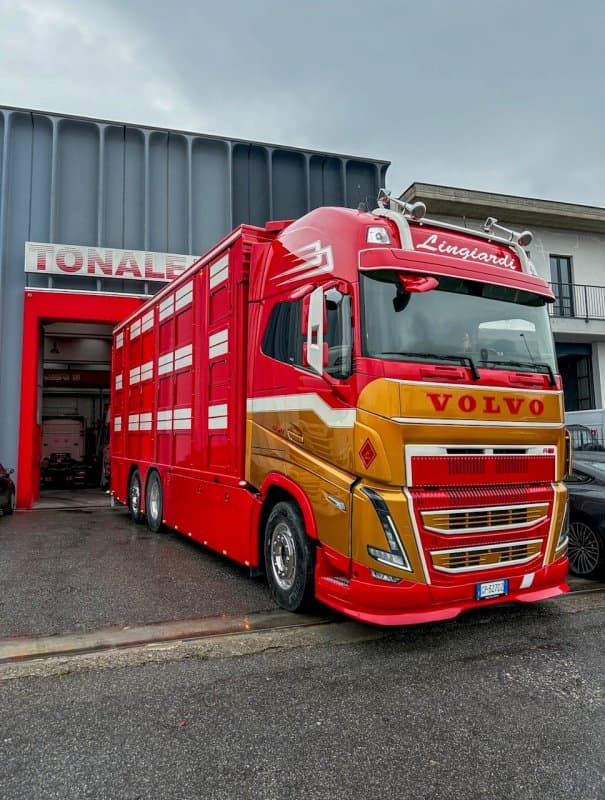 Carrozzeria Tonale S.r.l - Immagine 1