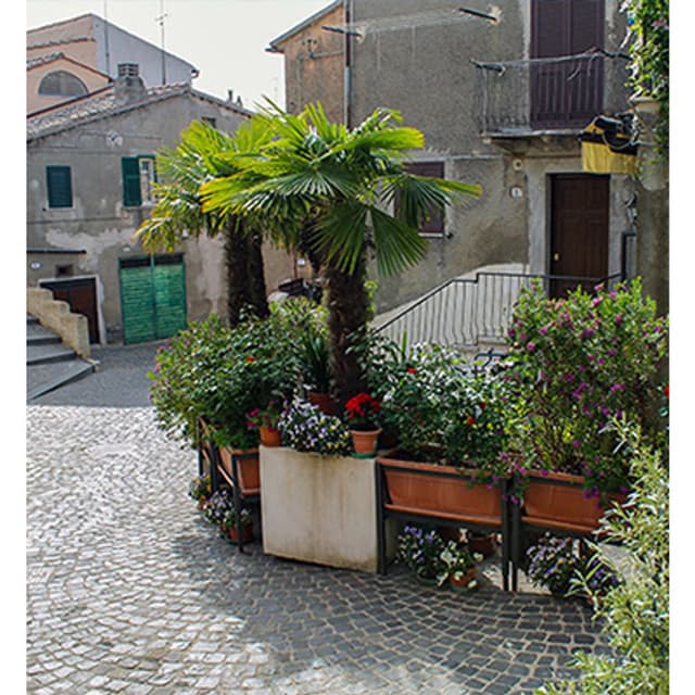 Casa di Riposo G.B. Villa Pina - Immagine 1