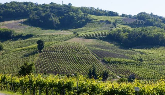 Casa Famiglia Cà Lorenzo - Immagine 1