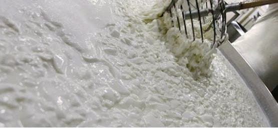 Caseificio Coiro - Immagine 1