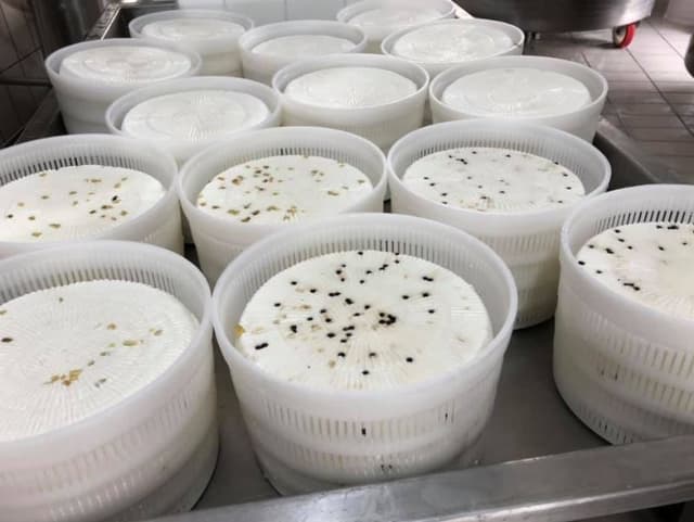 Caseificio D'Amico - Immagine 2