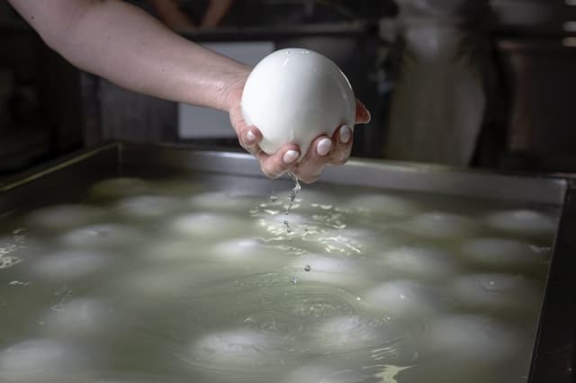 Caseificio dei Due Principati - Immagine 1