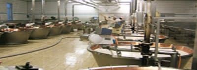 Caseificio Sociale Castellazzo - Immagine 1