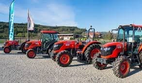 Cassinelli - Immagine 1