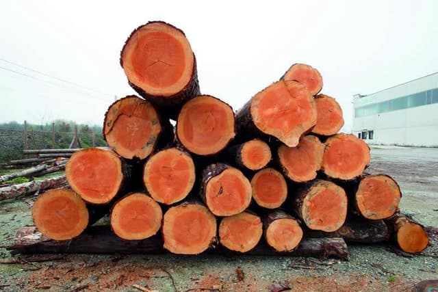 Cavanna Group - Immagine 2