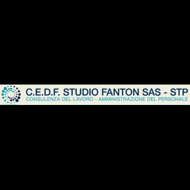 Cedf Studio Fanton - Immagine 2