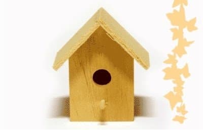 Celda Informatica - Immagine 2