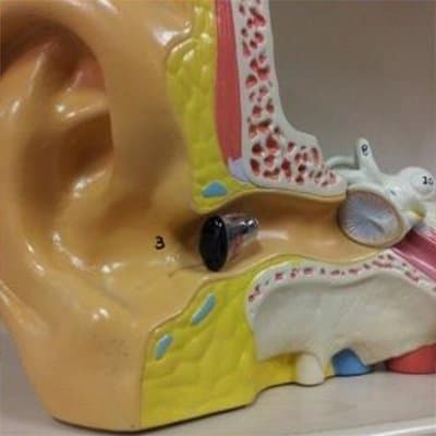 Centro Acustico Italiano - Immagine 1