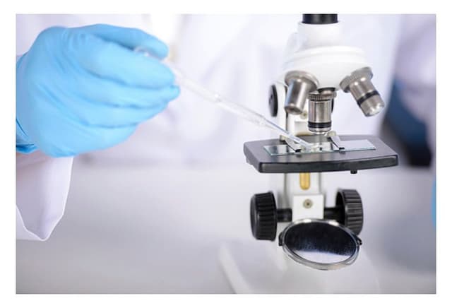 Centro Analisi Vitale - Immagine 2