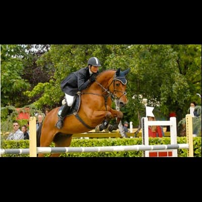 Centro Ippico Team Sisters - Immagine 1