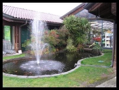 Centro Piante Scarlatta dal 1924 - Immagine 1