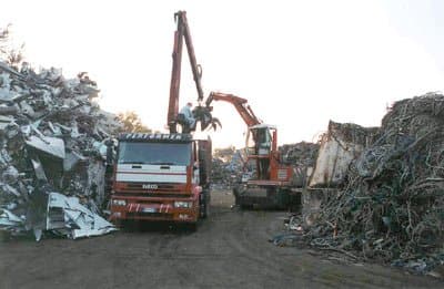 Cerrirottami - Immagine 1