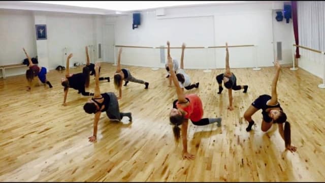 Chapkis Dance Family - Immagine 2