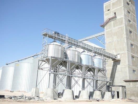 Chiarini e Ferrari It - Immagine 2