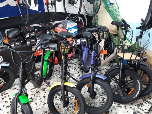 Cicli Enrico - Immagine 1