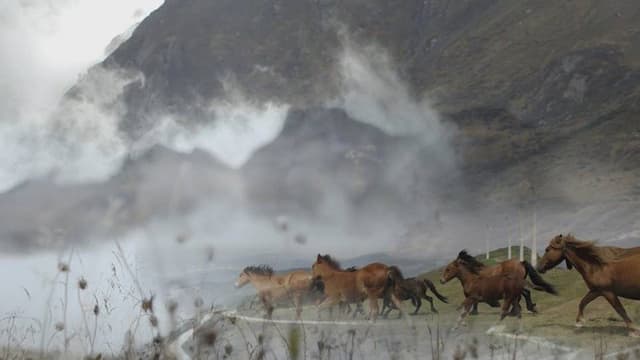 Clan Studio - Immagine 1