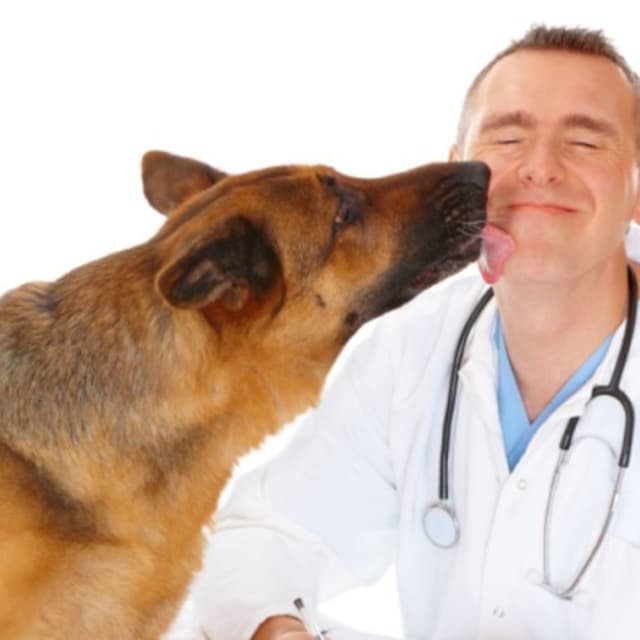 Clinica Veterinaria Costa D'Argento - Immagine 1