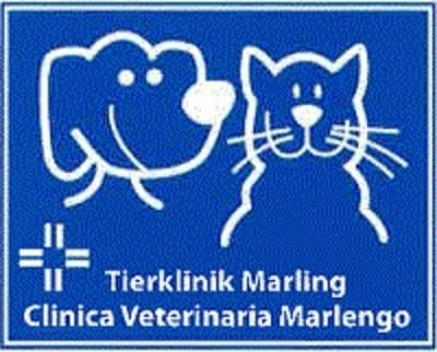 Clinica Veterinaria Marlengo - Immagine 2