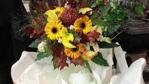 Clorofilla - Immagine 1