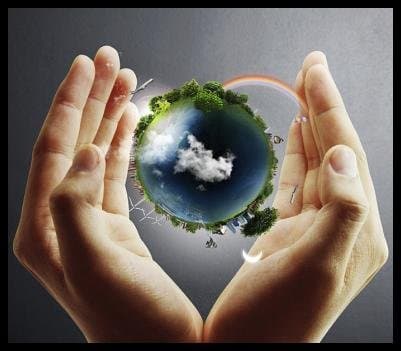 Cmb Ecologia - Immagine 2