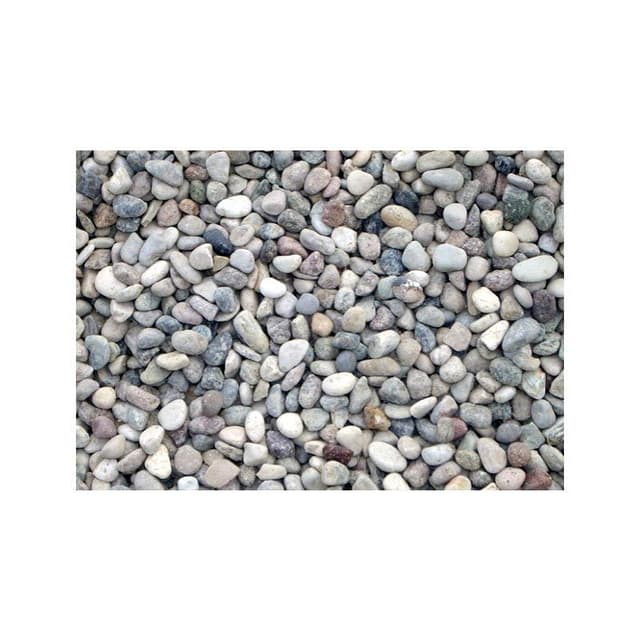 Collini Valentino E Mario - Immagine 1