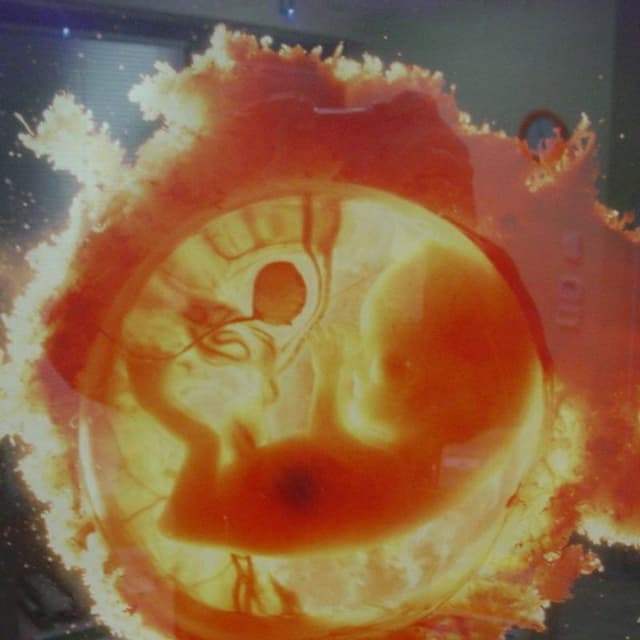 Colombo Dott.ssa Michela - Ginecologa - Immagine 1